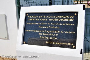 sinteticodeg_029