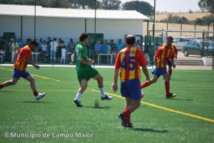 sinteticodeg_046