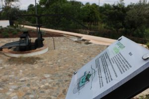 degolados_facebook_175