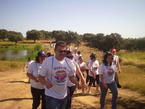 My beautiful picture