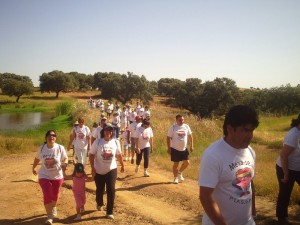 My beautiful picture