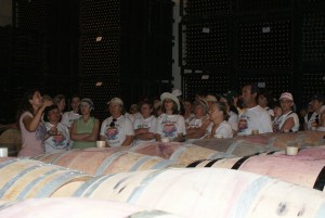 passeios_degolados025