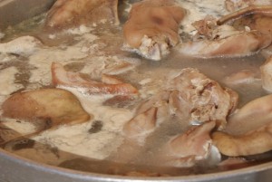 passeios_degolados011