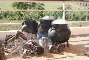 passeios_degolados009