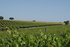 passeios_degolados006