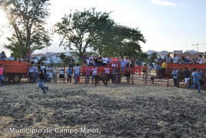 festasdegolados_031